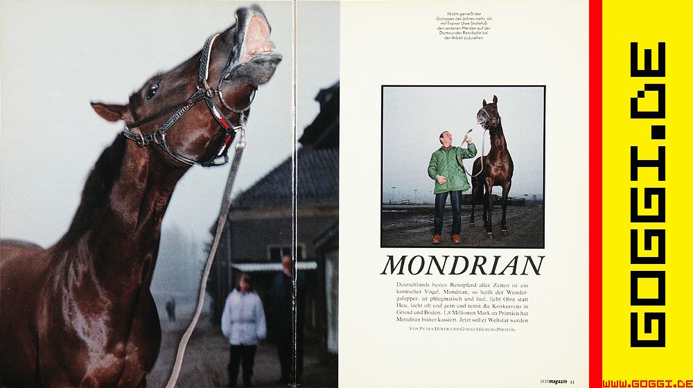 Mondrian, uwe stoltefuss,  ZEITmagazin, © Goggi Strauss